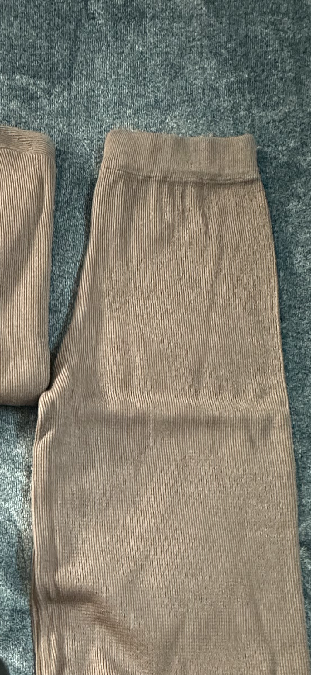 Autumn Suit